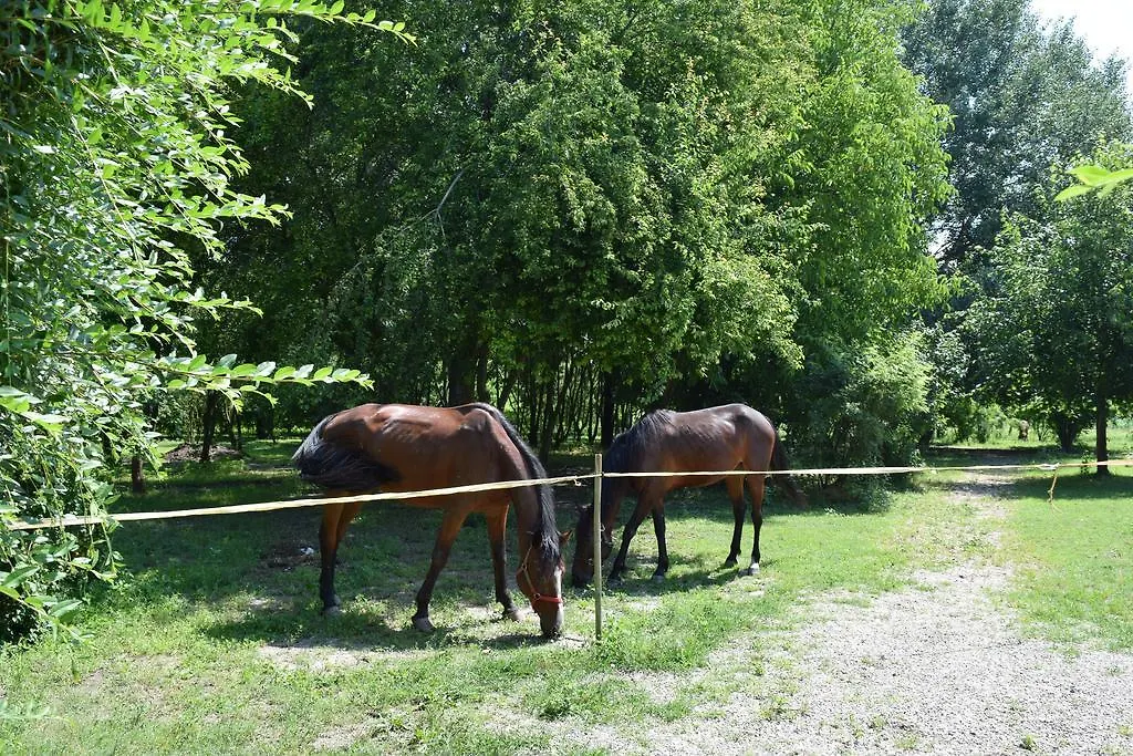 Farm stay Agriturismo Tre Rondini Legnago